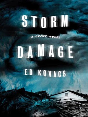 cover image of Storm Damage